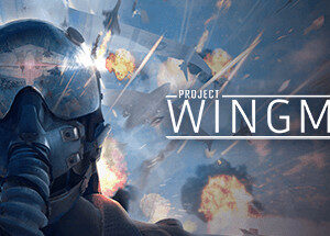 Project Wingman - PC Download